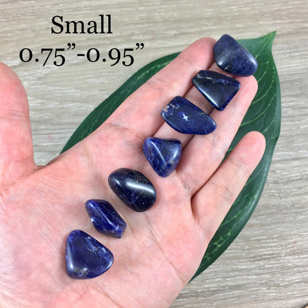 Dark Sodalite - High Grade! 0.75" to 1" Beautiful Polish - Tumbled Crystal | Free Form - *INSIGHT* - *COMMUNICATION* - Reiki Healing