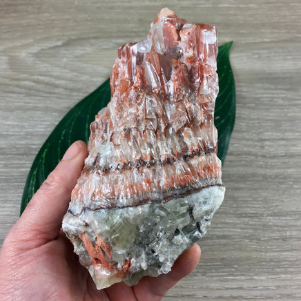 BIG 5" Rainbow Calcite (2 lbs+) - Rough, Natural - *Combats Emotional Stress", "Heightens Energy", "Excellent Study Aid" - Reiki Energy