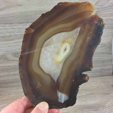 BIG 6" Agate Geode Slice with Druzy - EXACT PIECE - Natural, Unpolished - Reiki Energy