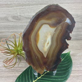 BIG 6" Agate Geode Slice with Druzy - EXACT PIECE - Natural, Unpolished - Reiki Energy