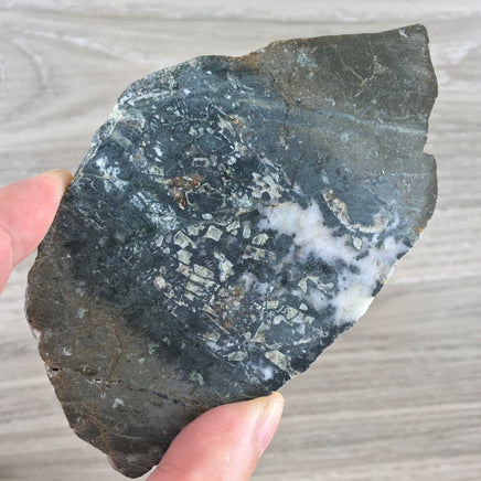 4.25" Moss Agate Slab - Natural, No Dyes, Unpolished - Lapidary - *Connect with Nature" - "Reduce Sensitivity" - Reiki Healing