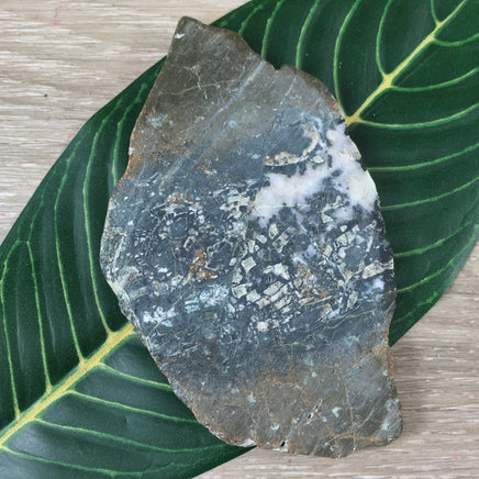 4.25" Moss Agate Slab - Natural, No Dyes, Unpolished - Lapidary - *Connect with Nature" - "Reduce Sensitivity" - Reiki Healing