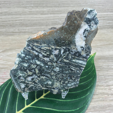 3.25" Moss Agate Slab - Natural, No Dyes, Unpolished - Lapidary - *Connect with Nature" - "Reduce Sensitivity" - Reiki Healing