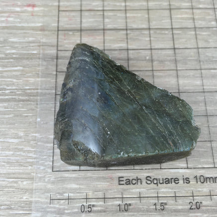 Spectacular Labradorite Spectrolite Slab - FLASHY! - Naturally Beautiful! Semi-Polished - *Stone of Magic*