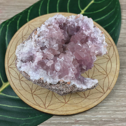 RARE!  2.5" Pink Amethyst Geode - Raw, Natural, Unpolished - *Love* - *Healing* - *Patience* - Reiki Energy