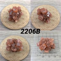 Superb! Aragonite Star Specimen - YOU PICK!  Natural, Raw - *Balance Energy Fields* - *Emotional Healing* - *Renew Strength & Confidence*