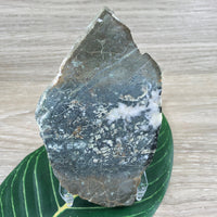 4.25" Moss Agate Slab - Natural, No Dyes, Unpolished - Lapidary - *Connect with Nature" - "Reduce Sensitivity" - Reiki Healing