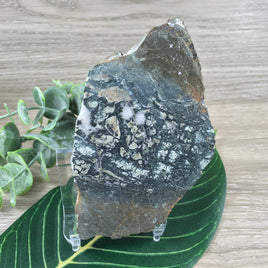 4.25" Moss Agate Slab - Natural, No Dyes, Unpolished - Lapidary - *Connect with Nature" - "Reduce Sensitivity" - Reiki Healing