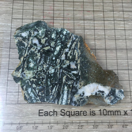 3.25" Moss Agate Slab - Natural, No Dyes, Unpolished - Lapidary - *Connect with Nature" - "Reduce Sensitivity" - Reiki Healing