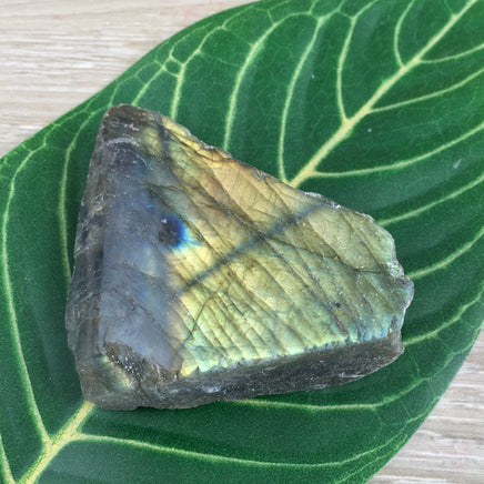 Spectacular Labradorite Spectrolite Slab - FLASHY! - Naturally Beautiful! Semi-Polished - *Stone of Magic*