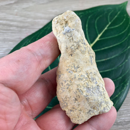 GEODE ART - Pewter Dolphin in Small Snow Quartz Geode - Natural, Unpolished, No Dyes - Simply Beautiful!