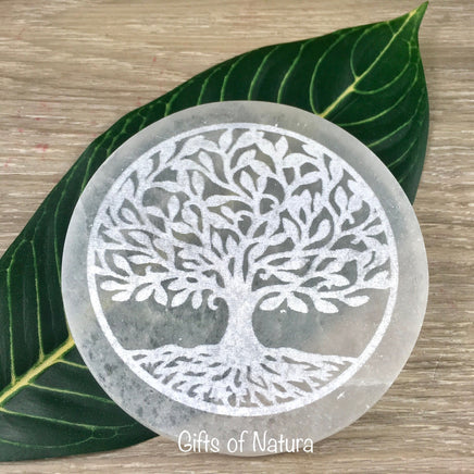 New Tree of Life Selenite Crystals Charging | Display Plate - Smooth, Polished - "Spiritual Activation" - Reiki Healing