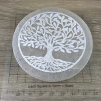 New Tree of Life Selenite Crystals Charging | Display Plate - Smooth, Polished - "Spiritual Activation" - Reiki Healing