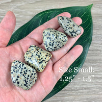 Dalmatian Stone - 2 sizes to choose - Natural, No Dyes, Tumbled - *Playfulness*, *Pick Me Upper* - *Avoid Excess Analysis* - Sacral Chakra