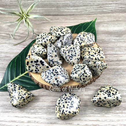 Dalmatian Stone - 2 sizes to choose - Natural, No Dyes, Tumbled - *Playfulness*, *Pick Me Upper* - *Avoid Excess Analysis* - Sacral Chakra