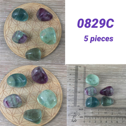 4 -5 pieces Rainbow Fluorite - PICK YOUR LOT - Premium Grade - Smooth, Polished - "Mental Clarity" - "Clear Energy" - "Decision-Making"