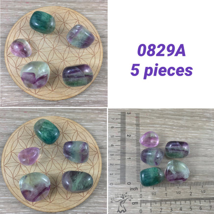 4 -5 pieces Rainbow Fluorite - PICK YOUR LOT - Premium Grade - Smooth, Polished - "Mental Clarity" - "Clear Energy" - "Decision-Making"