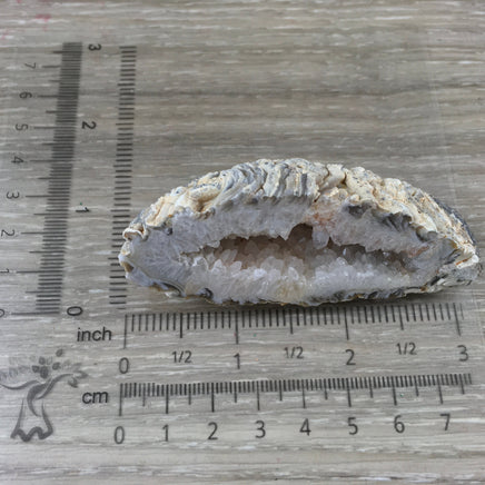 3" Small Agate Geode with Quartz - Natural, Unpolished, No Dyes - Simply Beautiful!