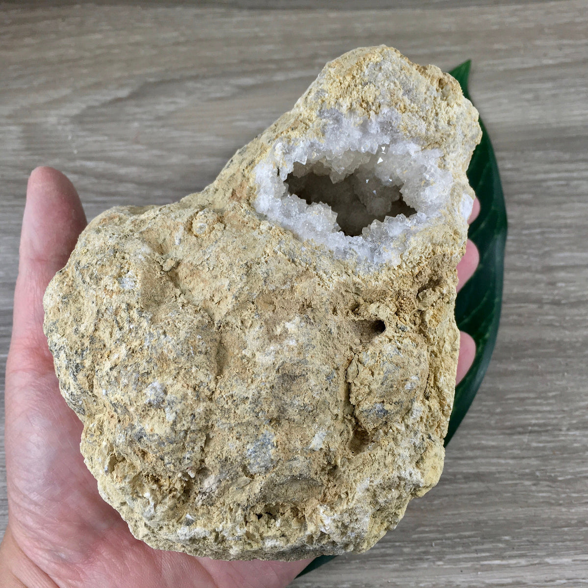 XXL Snow Quartz WHOLE Geode, Uncut - BEAUTIFUL Crystals Druzy! Natural ...