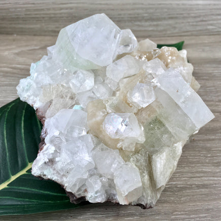 5" Apophyllite Cluster - Rough, Chunky, Sparkly - *Connection with Guides & Angels* - "Supports Infusion of Spiritual Light"