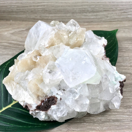 5" Apophyllite Cluster - Rough, Chunky, Sparkly - *Connection with Guides & Angels* - "Supports Infusion of Spiritual Light"