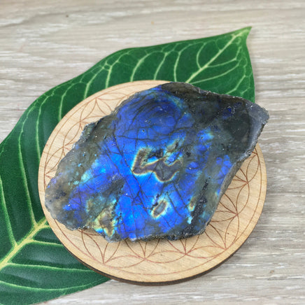 Spectacular Labradorite Spectrolite Slab - FLASHY! - Naturally Beautiful! Semi-Polished - *Stone of Magic*