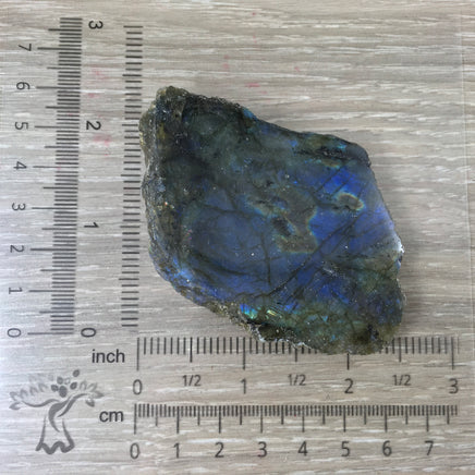 Spectacular Labradorite Spectrolite Slab - FLASHY! - Naturally Beautiful! Semi-Polished - *Stone of Magic*