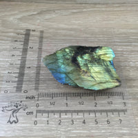 Spectacular Labradorite Spectrolite Slab - FLASHY! - Naturally Beautiful! Semi-Polished - *Stone of Magic*