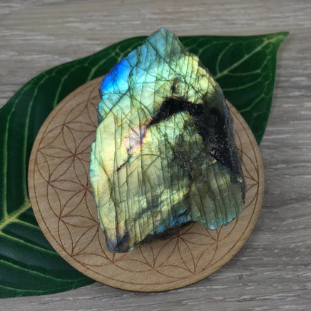 Spectacular Labradorite Spectrolite Slab - FLASHY! - Naturally Beautiful! Semi-Polished - *Stone of Magic*