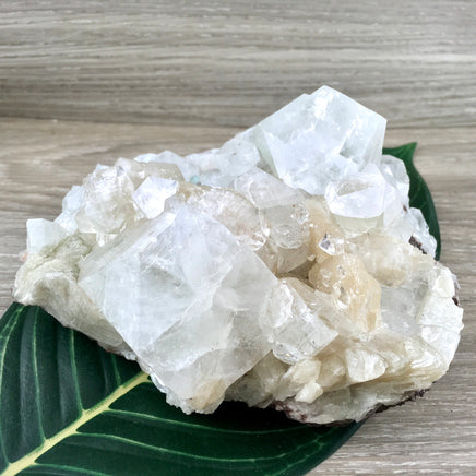 5" Apophyllite Cluster - Rough, Chunky, Sparkly - *Connection with Guides & Angels* - "Supports Infusion of Spiritual Light"