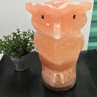 8.75" Wise Owl - EXACT PIECE - Orange Himalayan Salt Lamp with CSA approved cord & light bulb - Nature's Ionizer - Excellent Gift