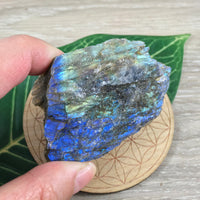 Spectacular Labradorite Spectrolite Slab - FLASHY! - Naturally Beautiful! Semi-Polished - *Stone of Magic*