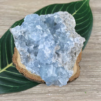 3.25" Celestite Geode (10.27oz) - Sparkling! - Rough - Exact Piece - Natural, No Dyes - *Serenity* - *Angelic Communication* - Throat Chakra