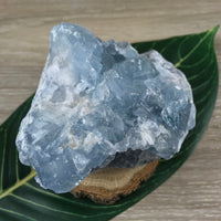 3.5" Celestite Geode (20.74oz) - Sparkling! - Rough - Exact Piece - Natural, No Dyes - *Serenity* - *Angelic Communication* - Throat Chakra