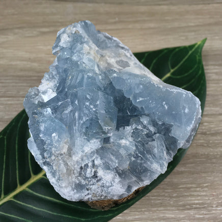 3.5" Celestite Geode (20.74oz) - Sparkling! - Rough - Exact Piece - Natural, No Dyes - *Serenity* - *Angelic Communication* - Throat Chakra