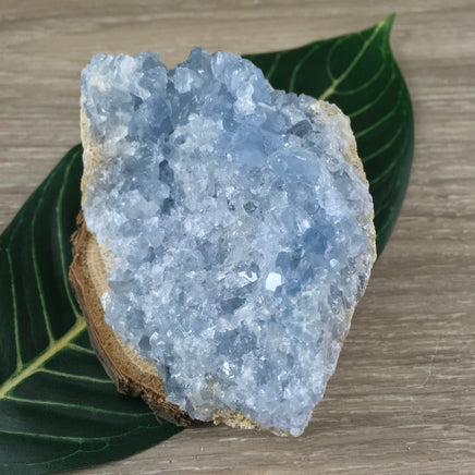 3.75" Celestite Geode (13.47oz) - Sparkling! - Rough - Exact Piece - Natural, No Dyes - *Serenity* - *Angelic Communication* - Throat Chakra