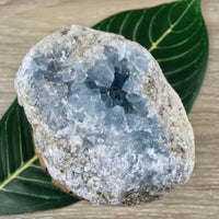 3.5" Celestite Geode (19.7oz) - Sparkling! - Rough - Exact Piece - Natural, No Dyes - *Serenity* - *Angelic Communication* - Throat Chakra