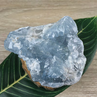 3.5" Celestite Geode (20.74oz) - Sparkling! - Rough - Exact Piece - Natural, No Dyes - *Serenity* - *Angelic Communication* - Throat Chakra