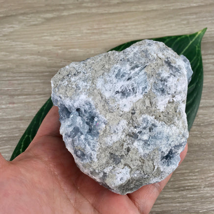 3.5" Celestite Geode (20.74oz) - Sparkling! - Rough - Exact Piece - Natural, No Dyes - *Serenity* - *Angelic Communication* - Throat Chakra