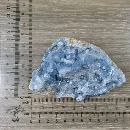 3.75" Celestite Geode (13.47oz) - Sparkling! - Rough - Exact Piece - Natural, No Dyes - *Serenity* - *Angelic Communication* - Throat Chakra