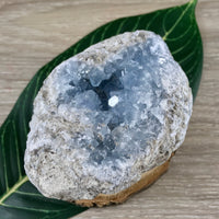 3.5" Celestite Geode (19.7oz) - Sparkling! - Rough - Exact Piece - Natural, No Dyes - *Serenity* - *Angelic Communication* - Throat Chakra